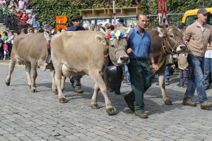 140922Schwyz 204